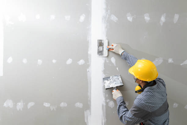 Best Post-Construction Mold Inspection  in Clairton, PA